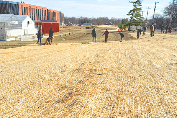 People work across a sloped planting area covered with straw and erosion-control netting beside campus greenhouses.