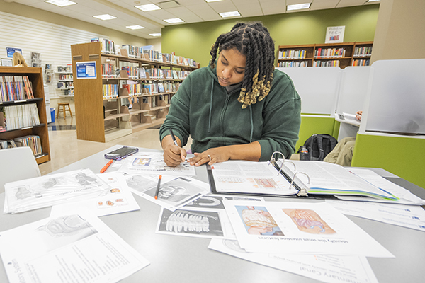 Student studying in library width=