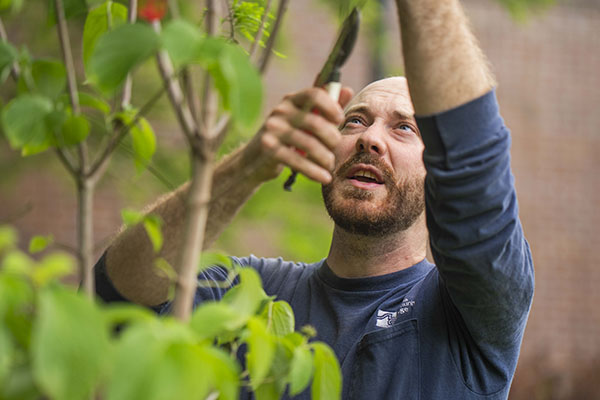 Joe Enger Joe Enger trimming branches on campus