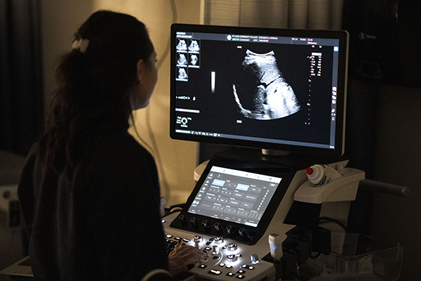 DMS student using sonography equipment as part of STLCC's certificate program