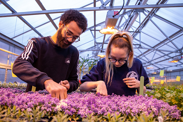 STLCC horticulture students in the greenhouse width=