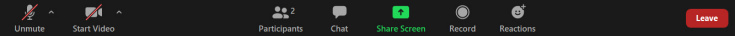 Screen capture of the Zoom Meeting Control Bar.