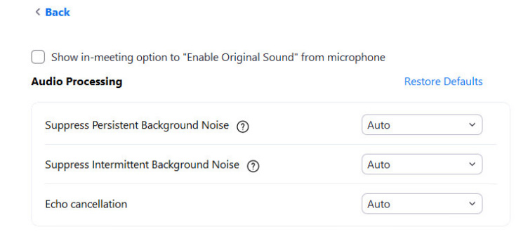 Screen capture of Zoom Audio Advanced Settings window.