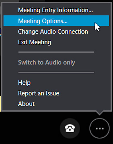 Detail screen shot of the meeting options menu.