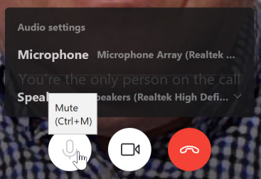Screen capture showing use of microphone and video icons on the control bar.