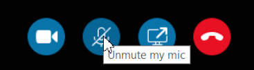 Detail screen shot showing the Unmute My Mic option.