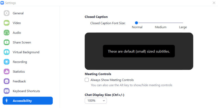 Screen capture showing Zoom Accessibility Settings window.