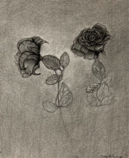 mary-lauburg-roses
