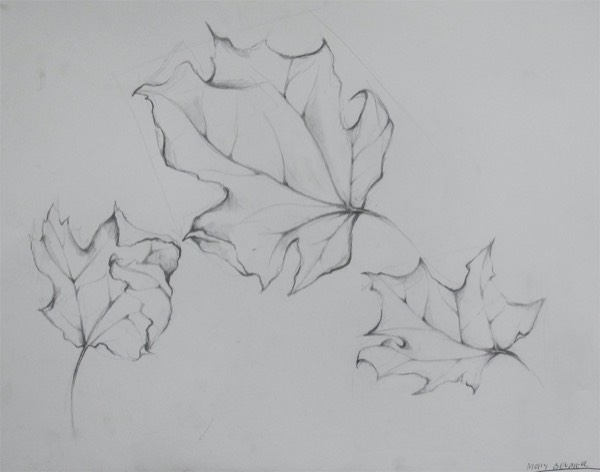 molly-beumer-leaves
