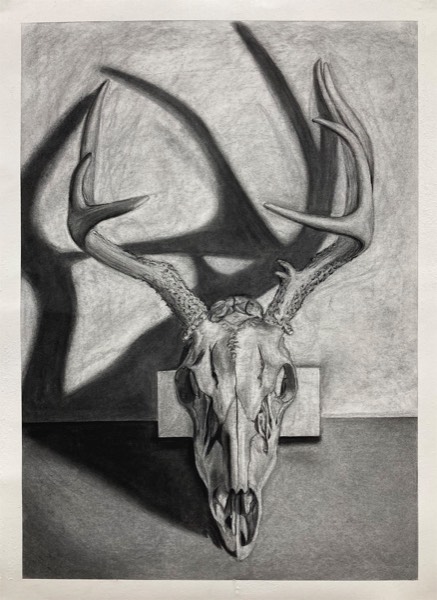 malik-fabian-mahmud-deer-skull