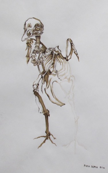 laisa-sierra-chicken-skeleton