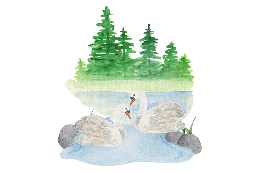 Swan Dance Lake