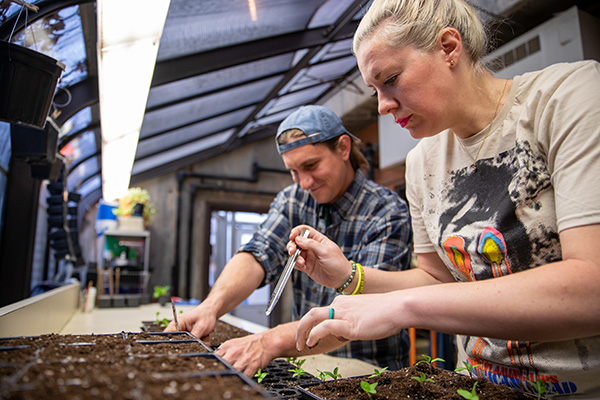 Horticulture program students in the greenhouse