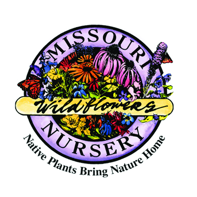 MWN Logo