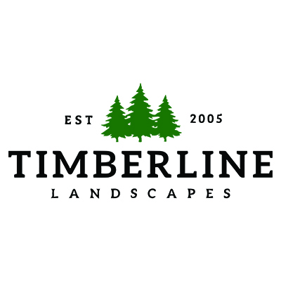 TL Logo