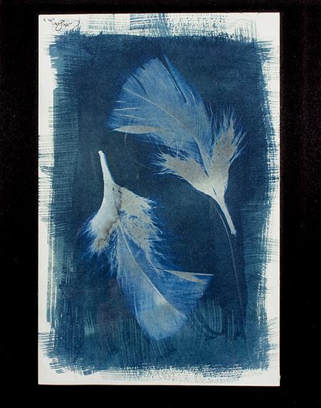 Feathers, 4.5” x 6.5”