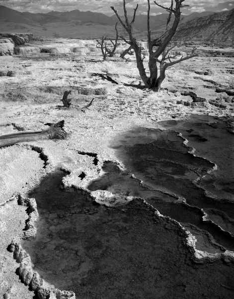 landscape photo in black and white