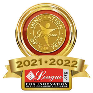 Innovation of the Year award badge