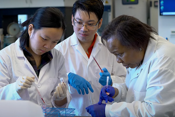 Group of laboratory tech students performing research in a lab