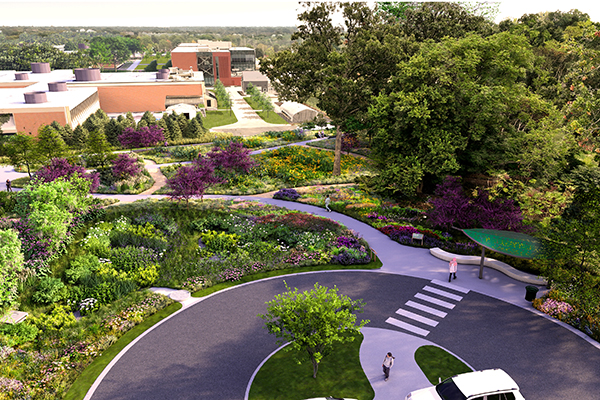 Rendering of a planned entrance and landscape area in the Garden Classroom