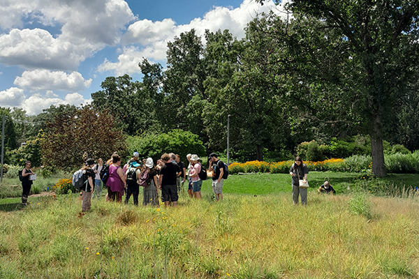 Prairie plants in the STLCC Garden Classroom