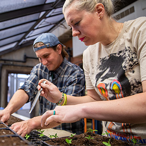 Two students caring for a tray of plants