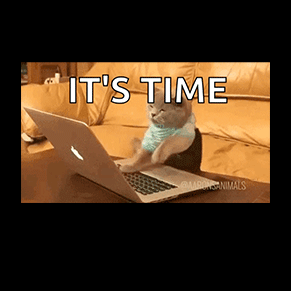 Cat typing on a laptop